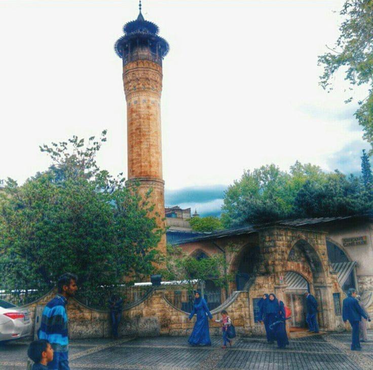 picture